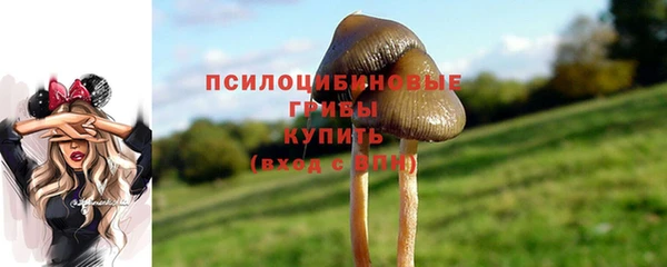 гидра Баксан