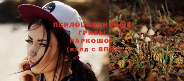 гидра Баксан