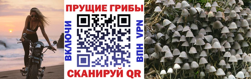 Псилоцибиновые грибы мухоморы Костомукша